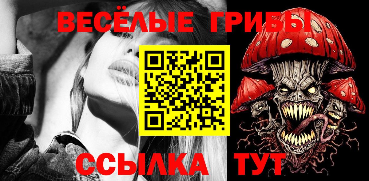 Минеральные Воды  Псилоцибиновые грибы прущие грибы  Вход с VPN  Галлюциногенные грибы Psilocybine cubensis 